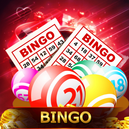 bingo 